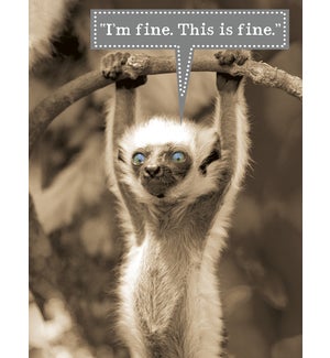 EN/Lemur hanging