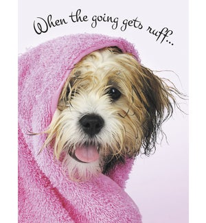 EN/Wet dog in pink towel