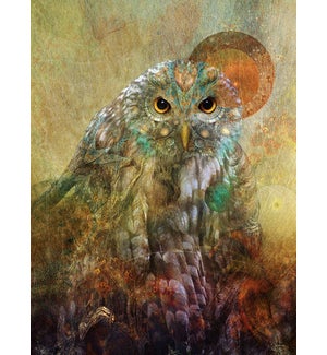 ED/Owl