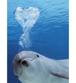 TH/Dolphin blowing bubbles