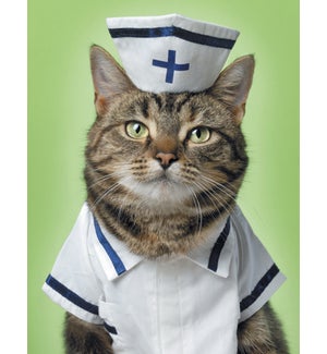 GW/Cat in nurse's uniform