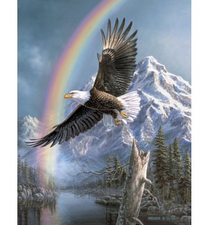 ED/Eagle under a rainbow