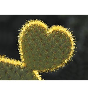 RO/Cactus forming a heart