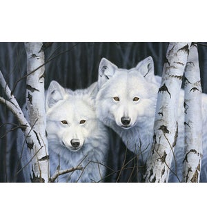 MAGNET/2 White wolves