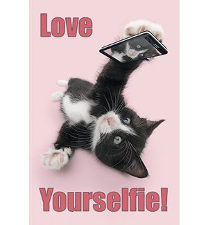 MAGNET/Cat taking selfie