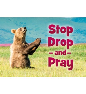MAGNET/Bear praying in grass