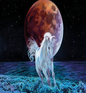 MAGNET/White horse