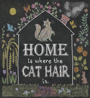MAGNET/Cat house frame