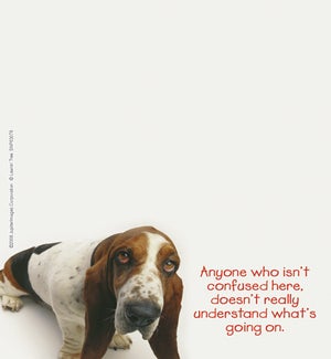 SMNOTEPAD/Bassett hound