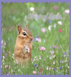 TY/Chipmunk holding flowers