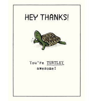 TYB/Turtle giving thumbs up