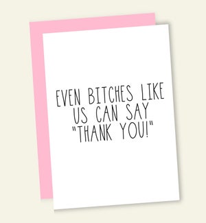 TY/BITCHES LIKE US
