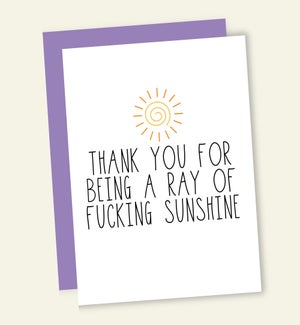 TY/RAY OF F-ING SUNSHINE