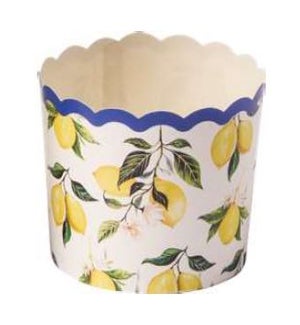 BAKINGCUP/Capri Coast