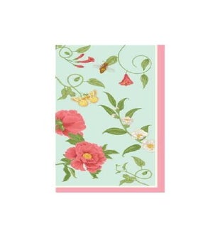NAPKIN/Rococo - Guest