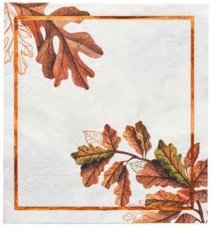 NAPKIN/Acorn & Oak Lunch