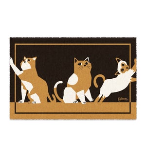 MAT/Three Cats