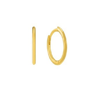EARRINGS/Hoops