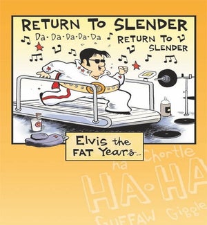 BD/Elvis the fat years