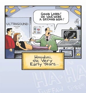 BD/Houdini Early Years