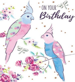 BD/Parrots