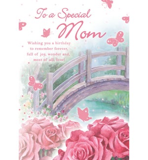 RBD/Special Mom