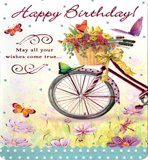 BD/ Birthday Bike