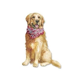 BL/Dog In Handkerchief