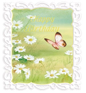 BD/Butterfly In Field