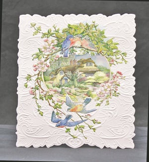 BD/Blue Birds Floral