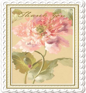 TY/Apricot Bloom