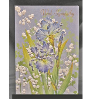 SY/Blue Irises