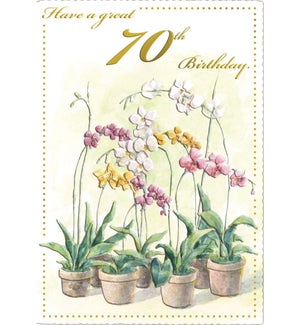 ABD/Orchid Pots 70th