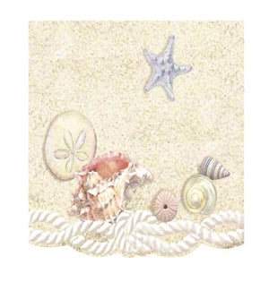 NOTECARDS/Sea Shells (dup upc)