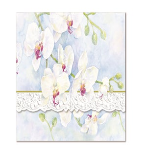 PORTFOLIO/White Orchid