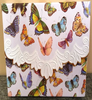 PORTFOLIO/Butterflies