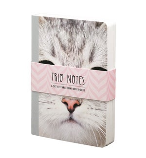 NBOOK/Trio Notebook-Kitten