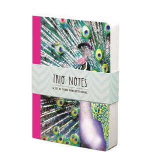 NBOOK/Trio Notebook-Vivid