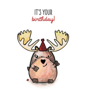 BD/Moose Birthday
