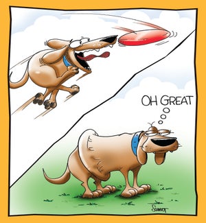 EN/Dog Swallows Frisbee