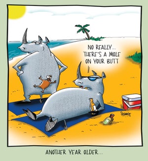 BD/Rhinos On The Beach