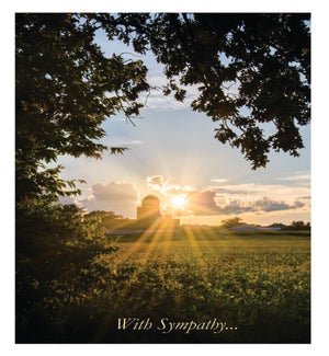 SY/Sunshine On Rural Scene