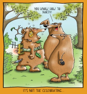 BD/Party Bears