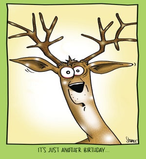 BD/Deer In Headlights