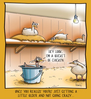 BD/A Bucket Of Chicken