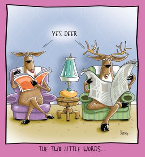AN/Deer In The Living Room