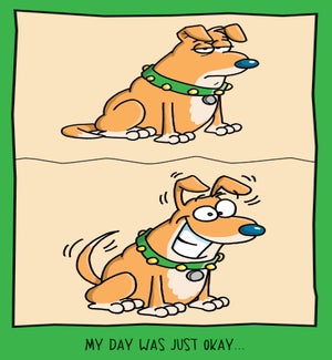FR/Excited Dog