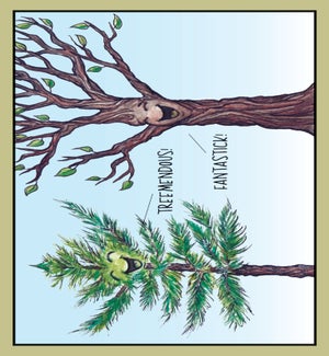 CO/Trees Congratulations