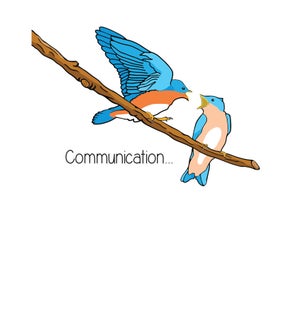 AN/Communication