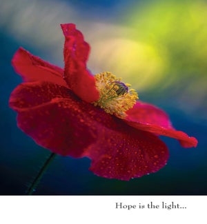 EN/Hope Is The Light